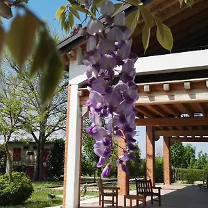 Maranghetto Apartment